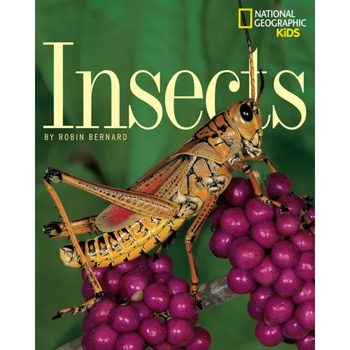 Insects - Paperback
