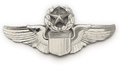 Air Force Command Pilot LG