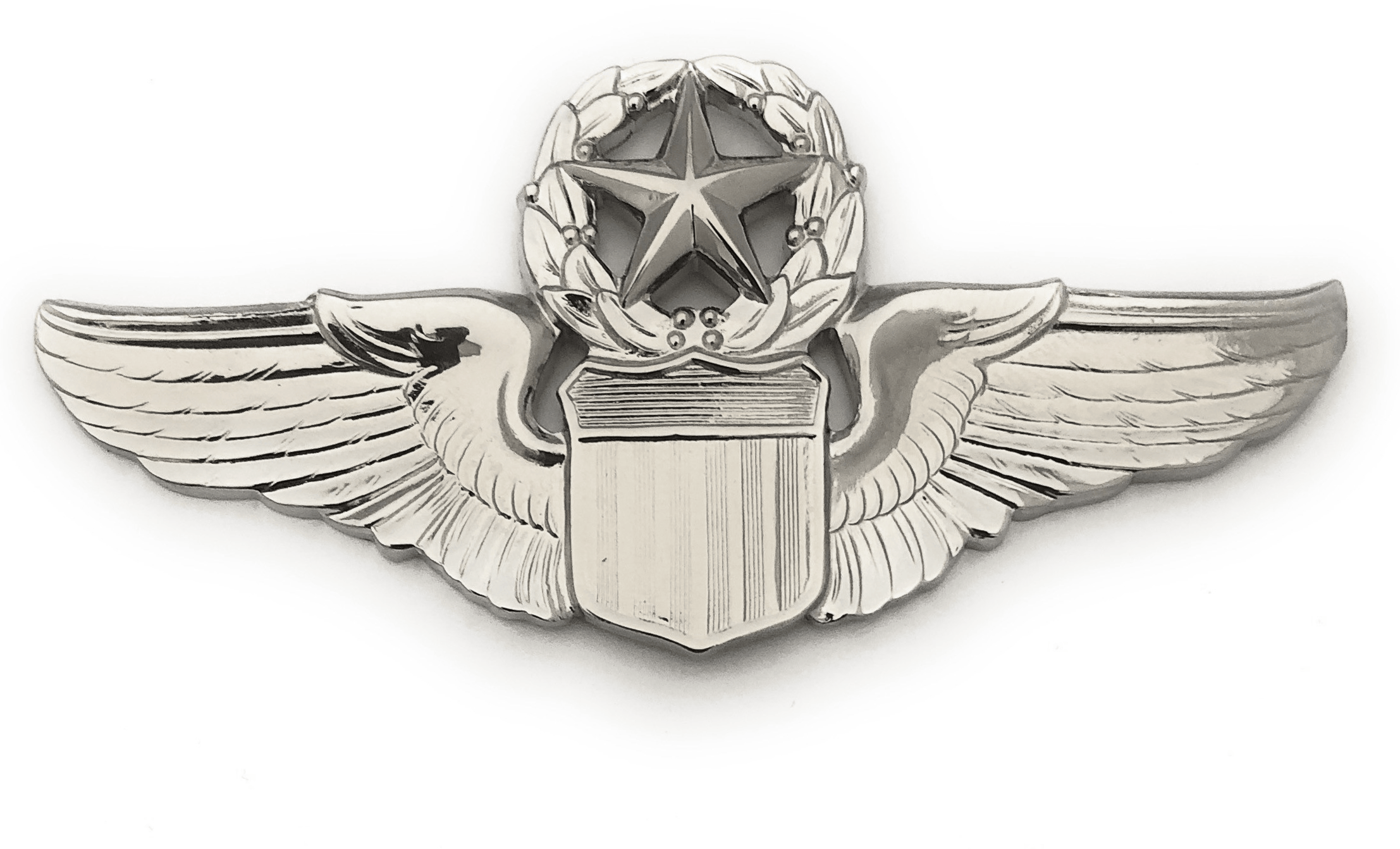 Air Force Command Pilot LG