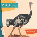 Ostriches - Paperback