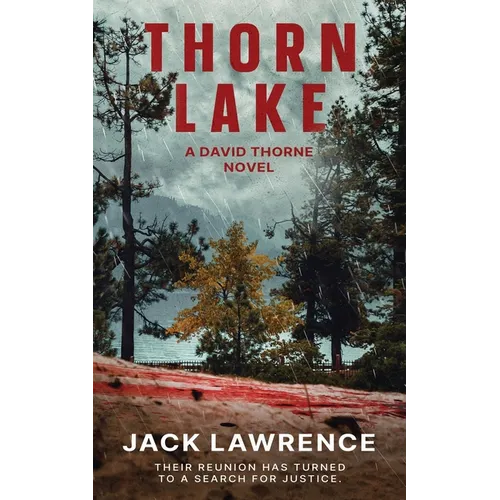 Thorn Lake: A David Thorne Novel - Paperback