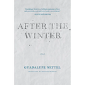 After the Winter - Paperback