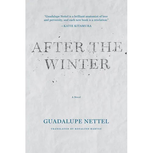 After the Winter - Paperback