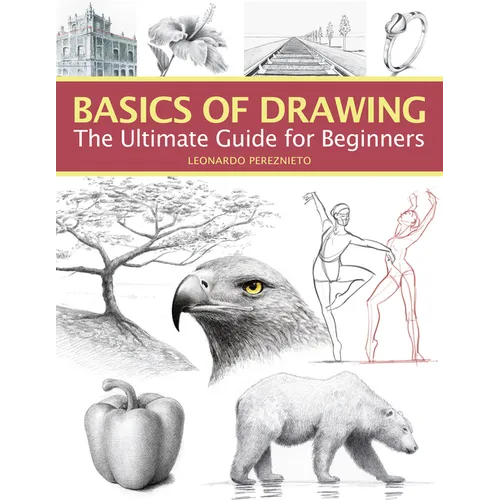 Basics of Drawing: The Ultimate Guide for Beginners - Paperback