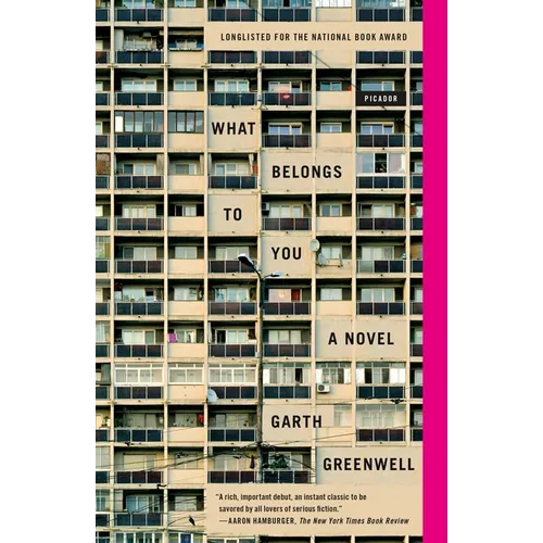 What Belongs to You - Paperback