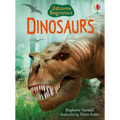 Dinosaurs (Usborne Beginners) - Paperback
