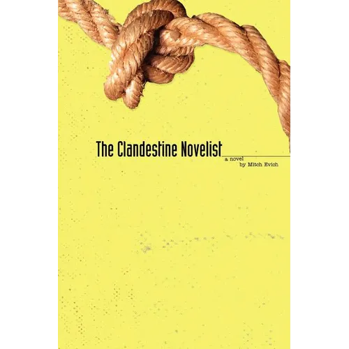 The Clandestine Novelist - Paperback