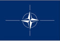 North Atlantic Treaty Organization (NATO)