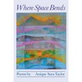 Where Space Bends - Paperback