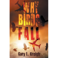 Why Birds Fall - Paperback