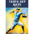 Tampa Bay Rays Fun Facts - Paperback