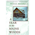 A Year in the Maine Woods - Paperback