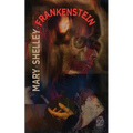 Frankenstein, o el moderno Prometeo - Paperback