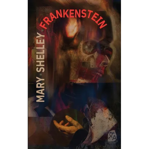 Frankenstein, o el moderno Prometeo - Paperback
