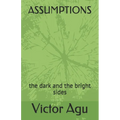 Assumptions: the dark and the bright sides - Paperback