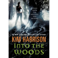 Into the Woods - Paperback