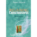 Regaining Consciousness: Resuscitating the Soul - Paperback