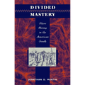 Divided Mastery: Slave Hiring in the American South