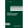 Algebraic K-Groups as Galois Modules - Hardcover
