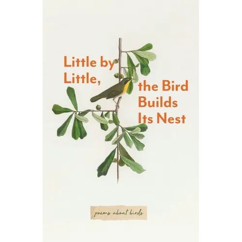 Little By Little, The Bird Builds Its Nest - Paperback