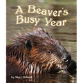 The Beavers' Busy Year - Paperback