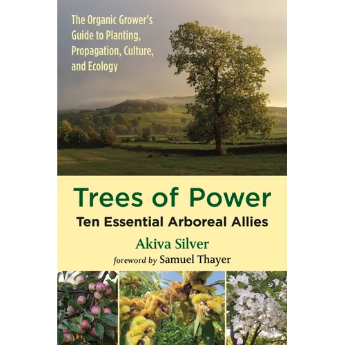 Trees of Power: Ten Essential Arboreal Allies - Paperback