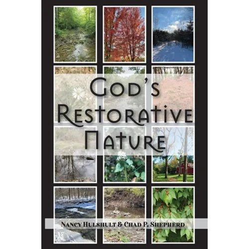 God's Restorative Nature - Paperback
