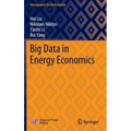 Big Data in Energy Economics - Hardcover