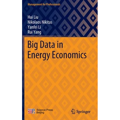 Big Data in Energy Economics - Hardcover
