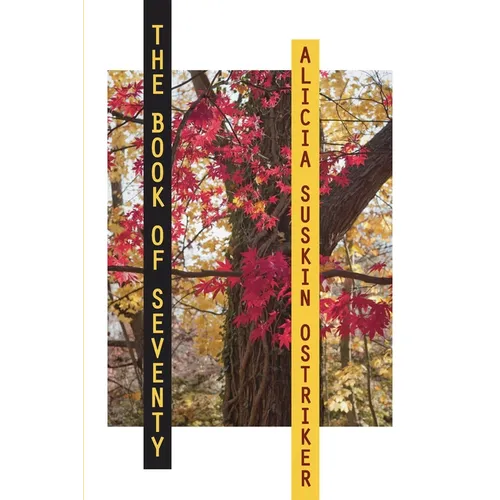 The Book of Seventy - Paperback