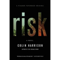 Risk - Paperback
