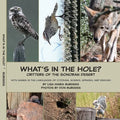 What's in the hole? Critters of the Sonoran Desert: with names in the languages of O'odham, Science, Spanish, and English - Paperback
