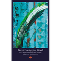 Burnt Eucalyptus Wood: On Origins, Language and Identity - Paperback