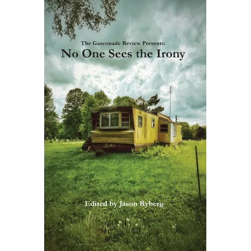 No One Sees the Irony - Paperback