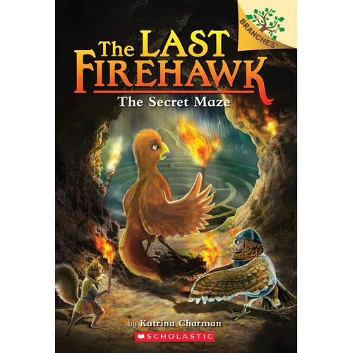 The Secret Maze: A Branches Book (the Last Firehawk #10) - Paperback