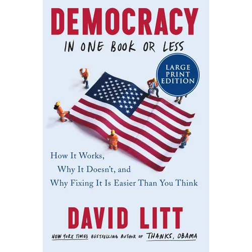 Democracy in One Book or Less LP - Paperback