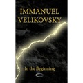 In the Beginning - Hardcover