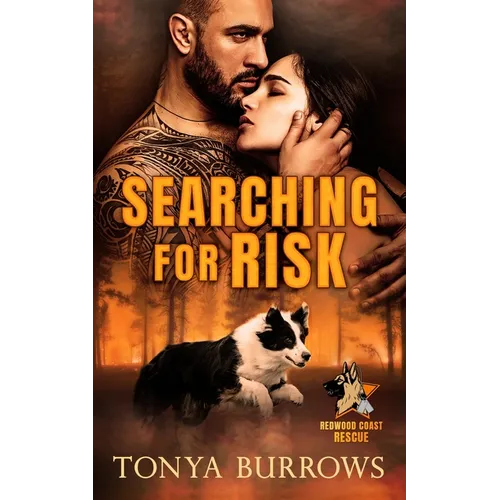 Searching for Risk - Paperback