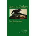 Last of the Curlews - Paperback