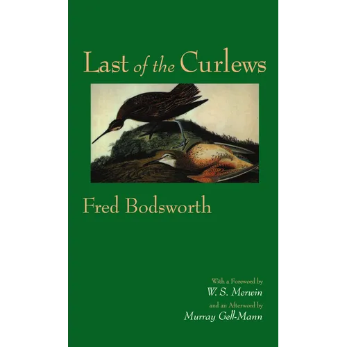 Last of the Curlews - Paperback