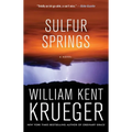 Sulfur Springs - Paperback