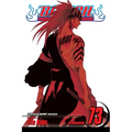 Bleach, Vol. 73: Battlefield Burning - Paperback