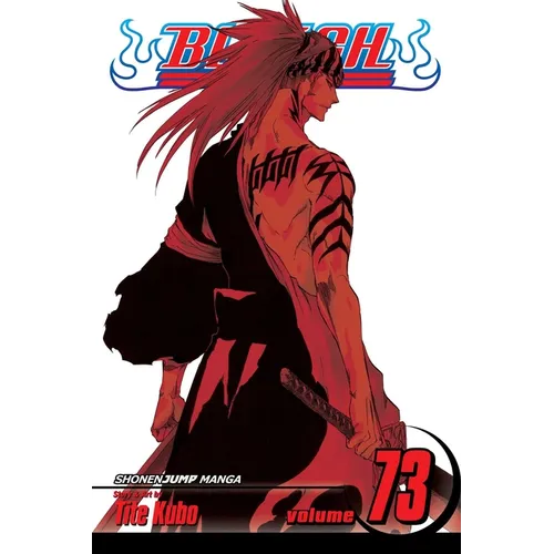 Bleach, Vol. 73: Battlefield Burning - Paperback