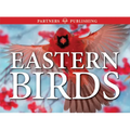 Eastern Birds: Pocket Guide - Paperback