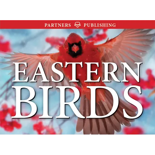 Eastern Birds: Pocket Guide - Paperback