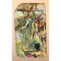 Understanding Madness - Paperback