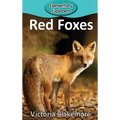 Red Foxes - Hardcover