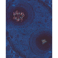 Noumena - Paperback
