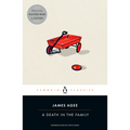 A Death in the Family - Paperback