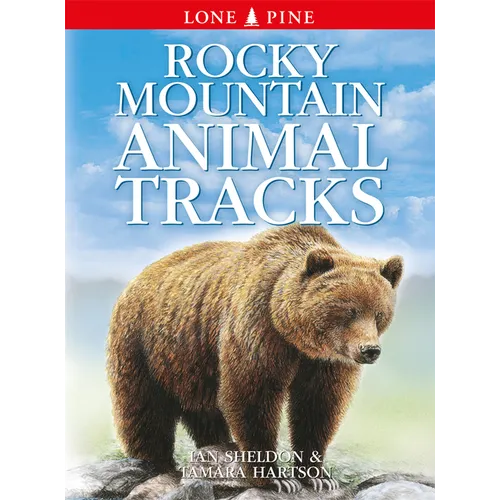 Rocky Mountain Animal Tracks - Paperback